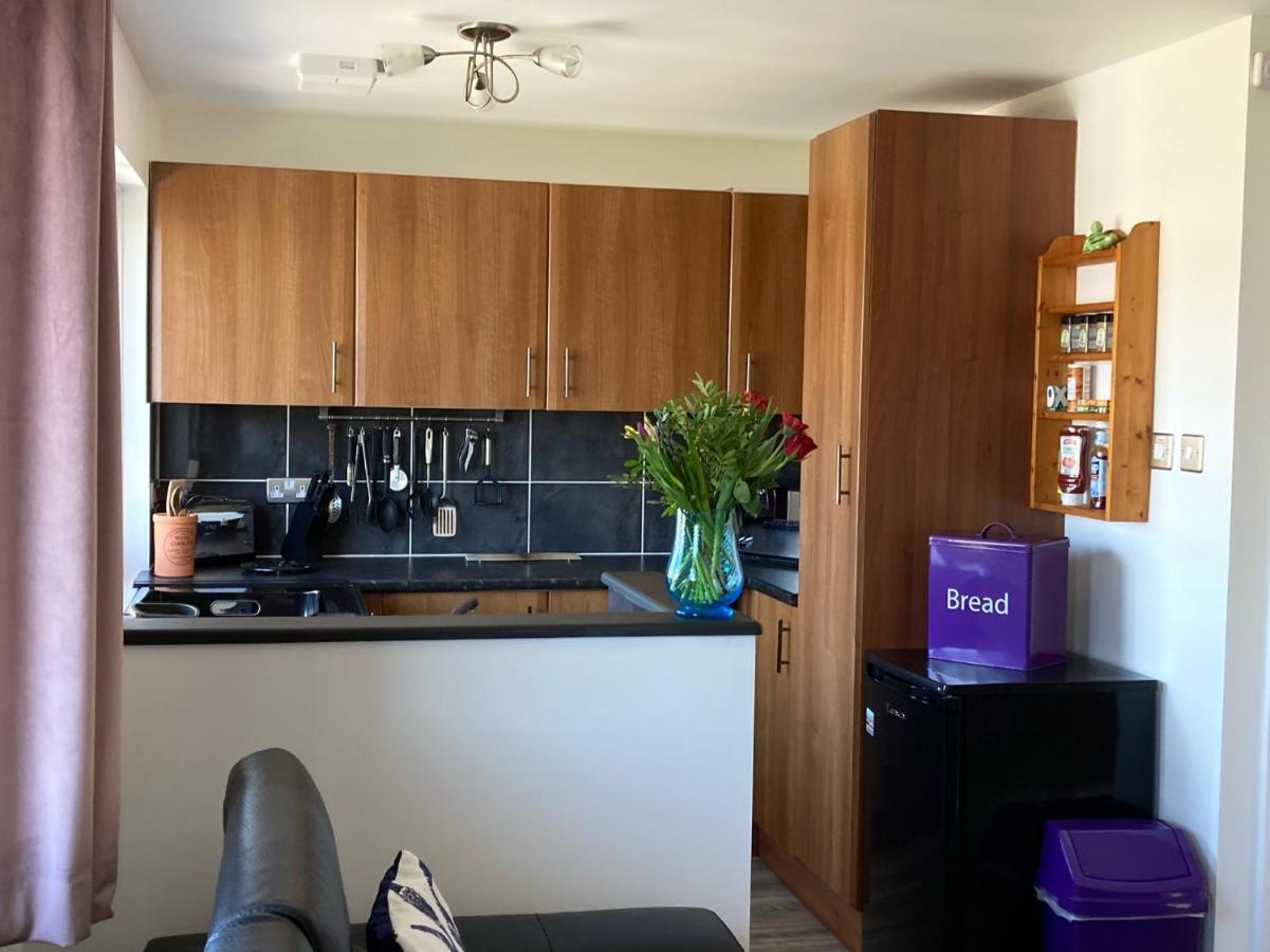 Appartamento The Snug Ilfracombe Esterno foto